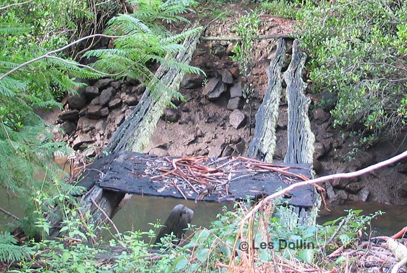 remains of James Singleton's bridge over Dillons Creek -photo by Les Dollin