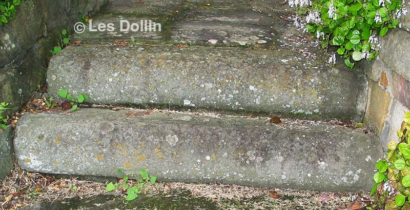 steps that appear to be cut from old millstones at Singletons Mill gunderman -photo by Les Dollin