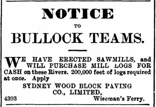 An advertisement in 1894 for the Sydney Wood Block Paving Company saw mill at Wisemans Ferry, NSW